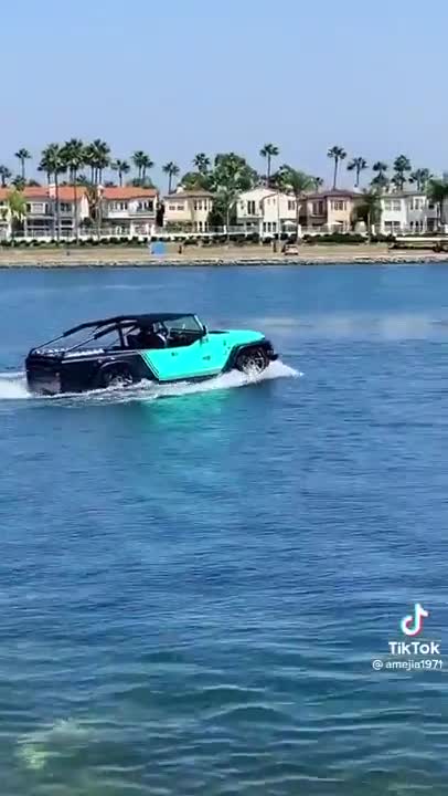 Car in the lake