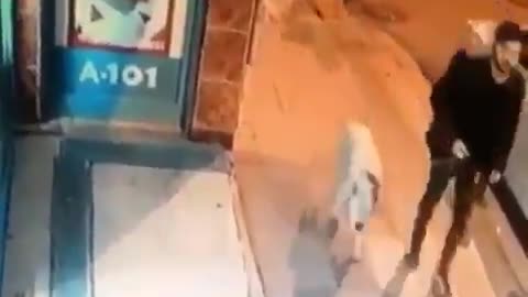 This cat attacks passersby for no reason !