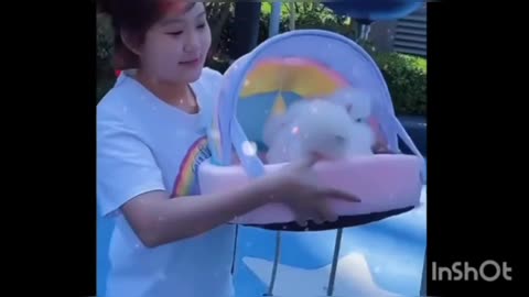 Pets fun with owner enjoys