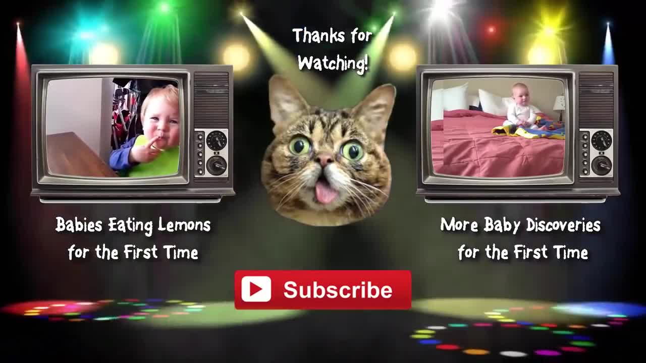 Funny Babies | Happy