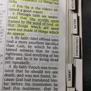 Morning word of God from the bible