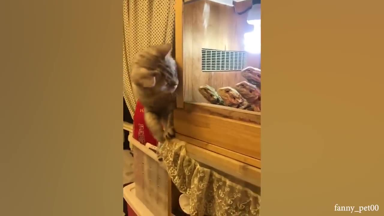 Funniest Animals 2023😹 Funny Cats 😆 You laugh you lose