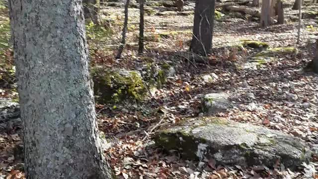 "The Slaughter Pen" where many Union soldiers lost there life that day.