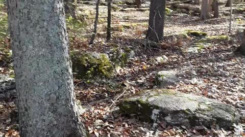 "The Slaughter Pen" where many Union soldiers lost there life that day.