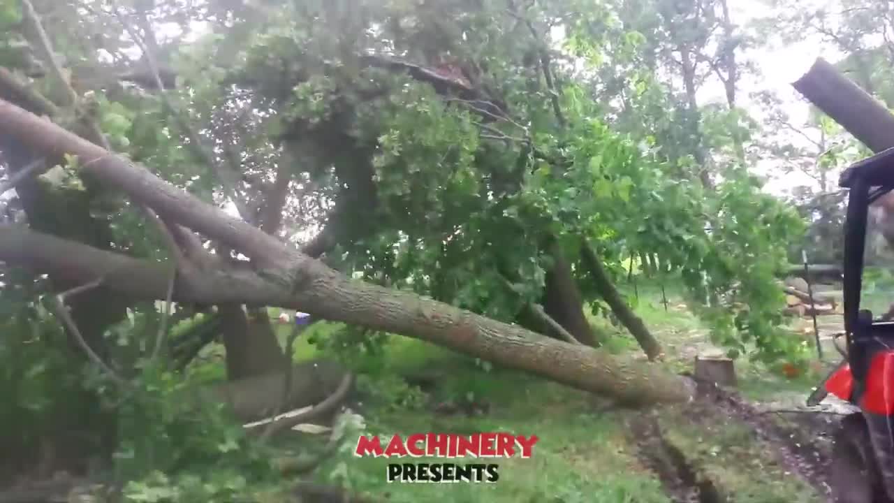 chainsaw expert videos