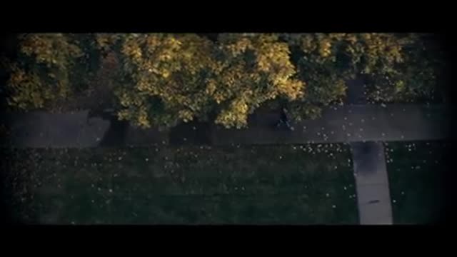 cherry / trailer / officialcherry / trailer / official