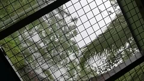 Cyclone yasa 3