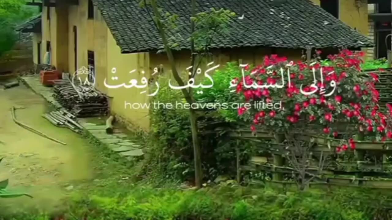 Best Quran Recitation