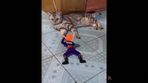 Funniest Animals - Best Of The 2022 Funny Animal Videos #1