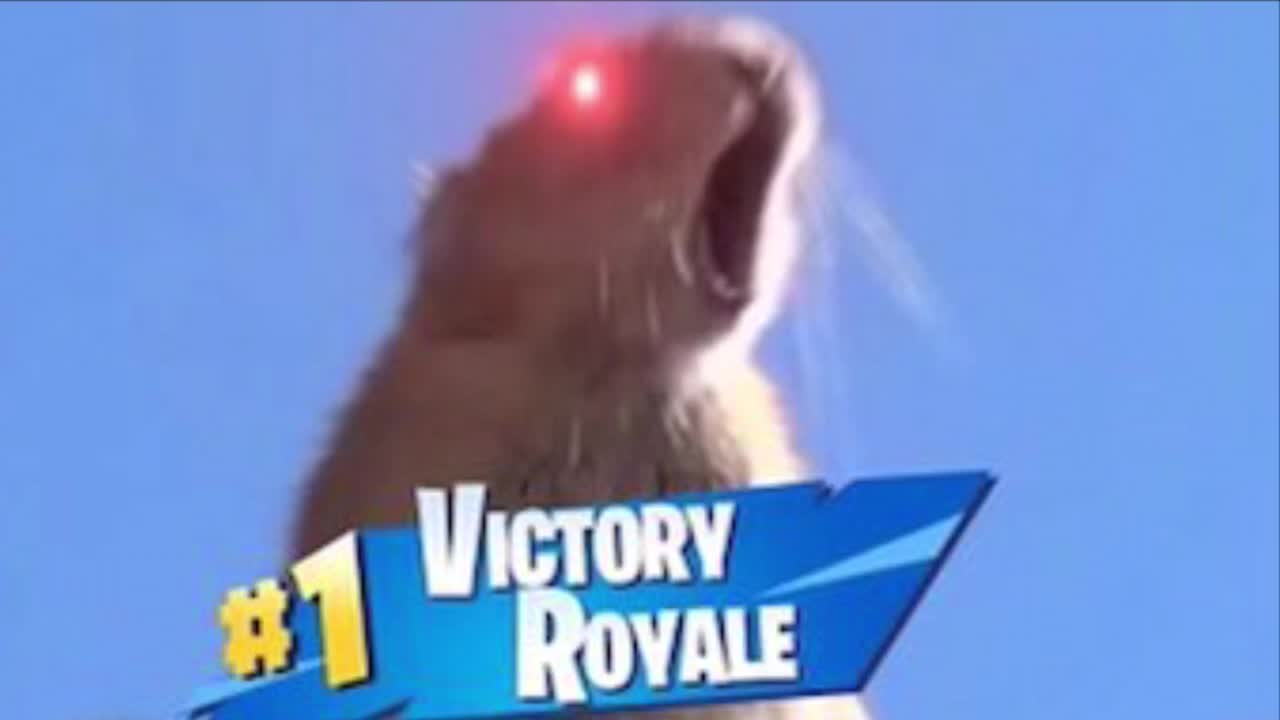 DUBS 2 EASY