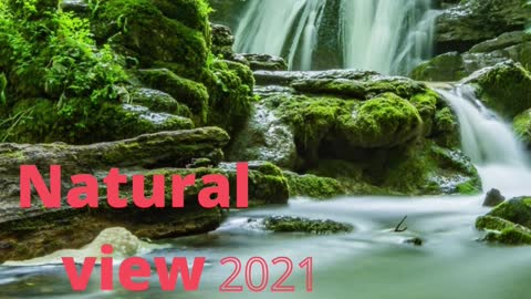 Natural videos