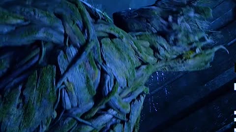 Science fiction（8）