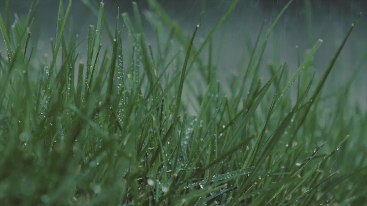 Raining with smooth sound, Law of attraction, Meditation, stress release, fast sleep
