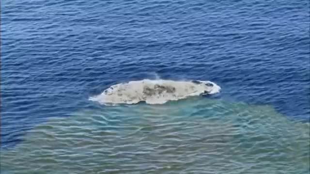 South Pacific Mother Nature tries to create an island