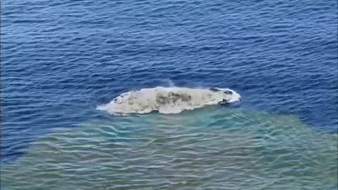 South Pacific Mother Nature tries to create an island