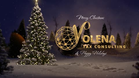 Merry Christmas & Happy Holidays!
