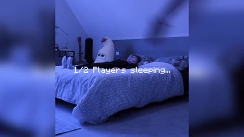 Minecraft sleep