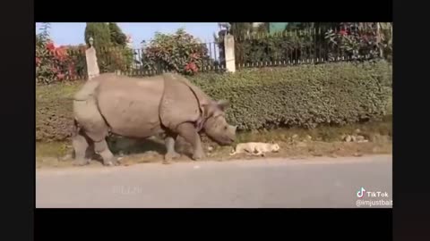Funniest Fails Of The Year Compilation Part 2