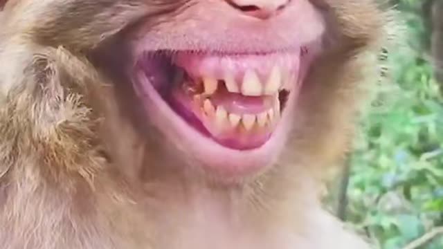 Good to laugh