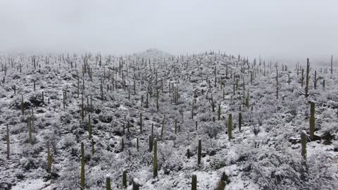 Breathtaking Footage of Snowfall in the Desert