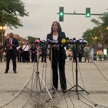 VP Harris: We Need to Take This Seriously Because of How Seriously You Take It Seriously