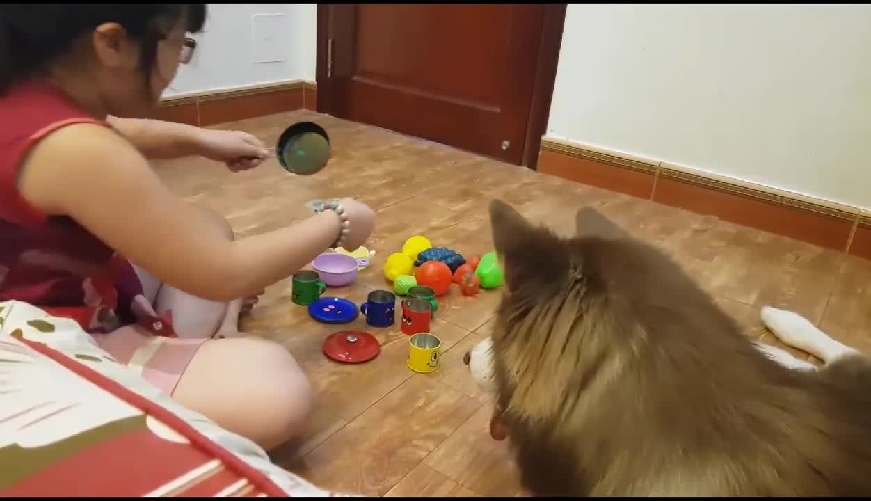 bae playing with dog