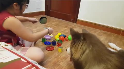 bae playing with dog