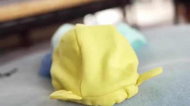The owner took good care of the newborn puppy
