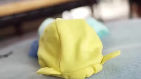 The owner took good care of the newborn puppy