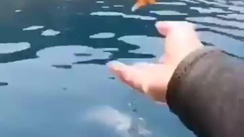 This is absolutely amazing!!!