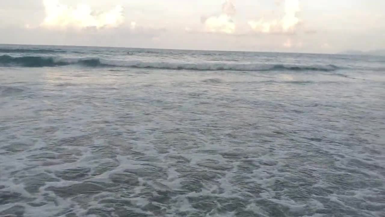 Gentle waves, pink conch