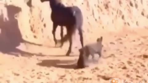 Ouuuuuuuuuuuuu ooooouuu
