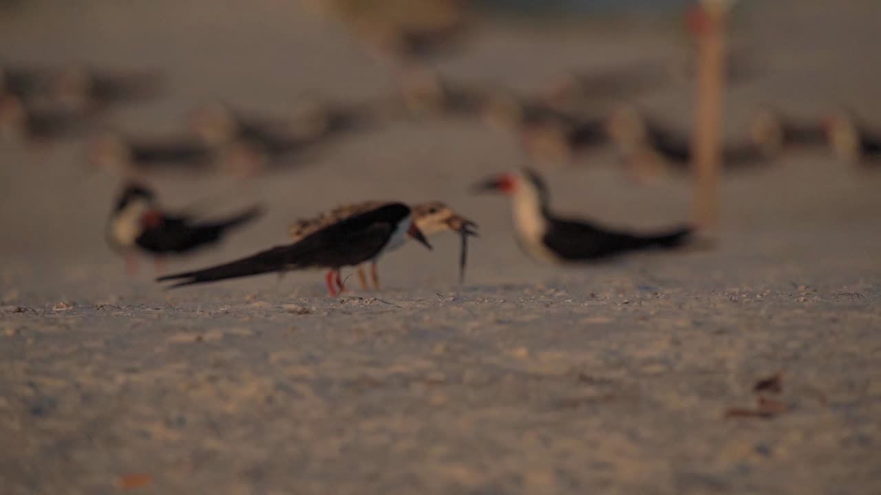 A Mom’s Ever Watching Eye