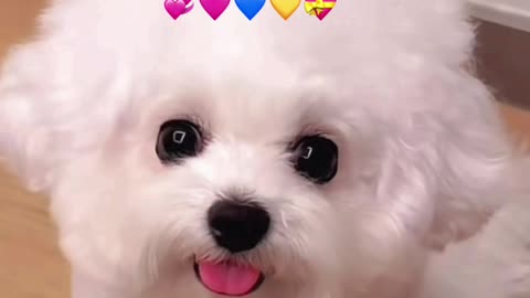 Such a cute little darling!