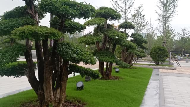 This tree has three floors and is beautifully designed