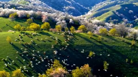 Super healing landscape scenery