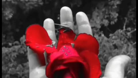 Wish to happy one time