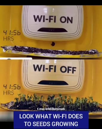 Roba da complottisti 😎