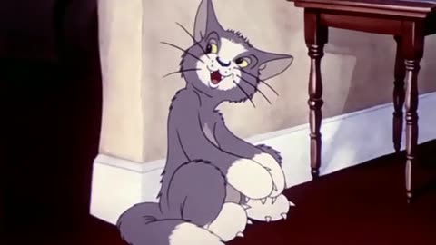 tom and jerry