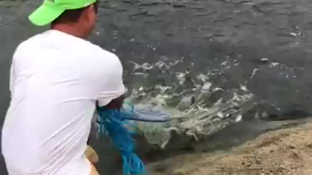 Fishing by net in small river