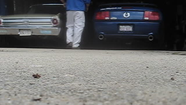 3XS Terminators on 06 Mustang