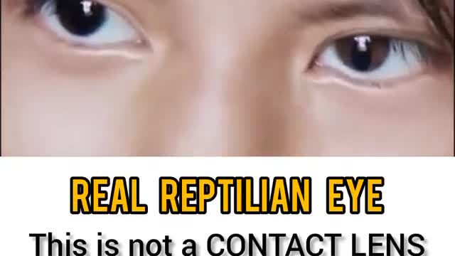 Real REPTILIAN eye?