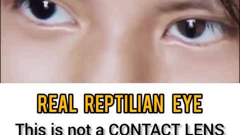 Real REPTILIAN eye?