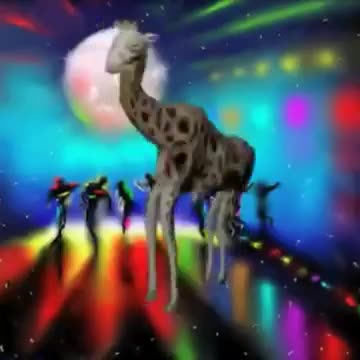 Funny giraffe vine