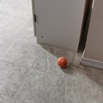 Spud and Buddy waiting for breakfast