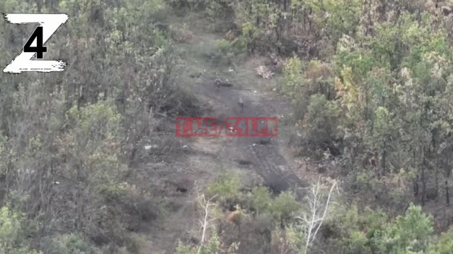 Kiev forces run away in a forest after personnel losses from artillery.