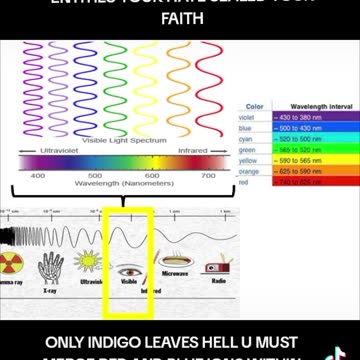 YOU NEVER HAD A FRIEND LIKE ME