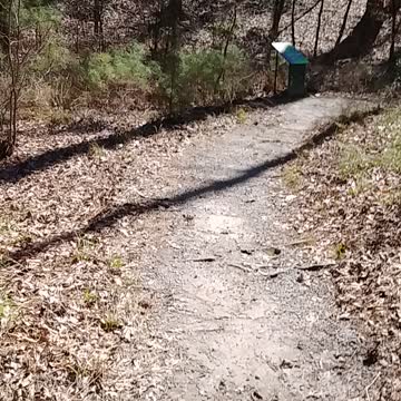 Walking The Trail Logoly