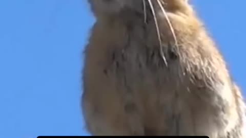 🤣🤣🤣🤣