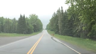 Deer Crossing